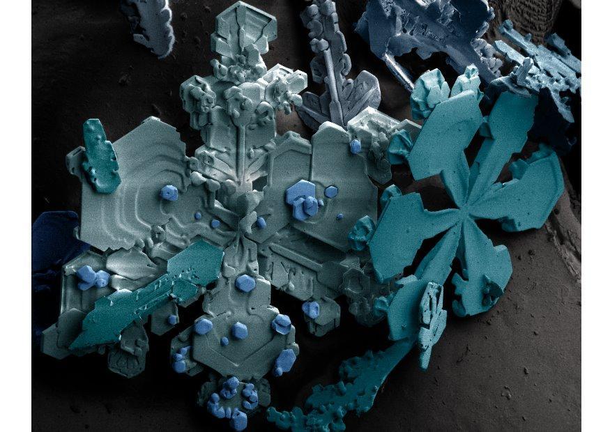 Photo snow crystals under microscope