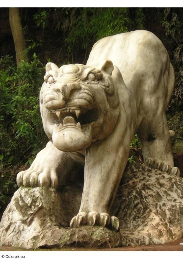 Photo tiger in leshan park