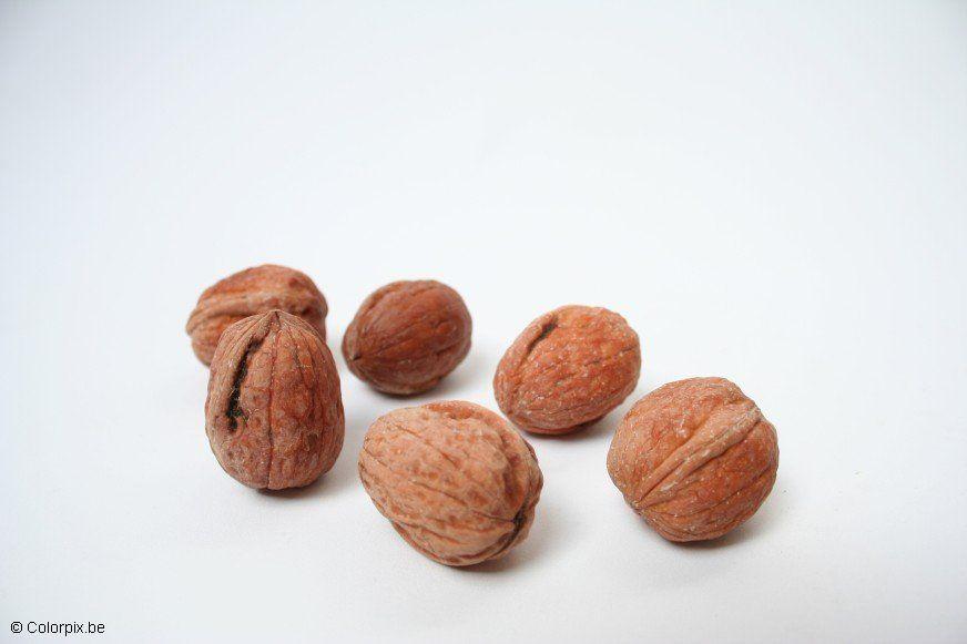 Photo walnuts