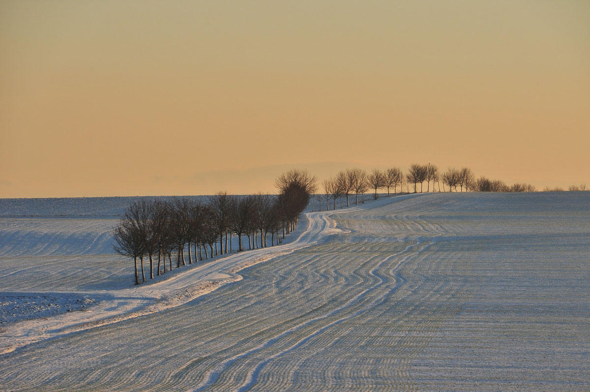 Photo winter scene