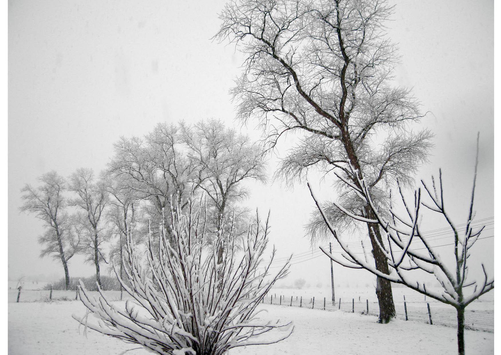 Photo winter scene