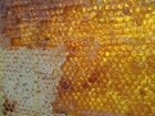 Photos honeycomb