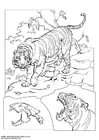 Coloring page tiger