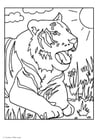 Coloring page tiger